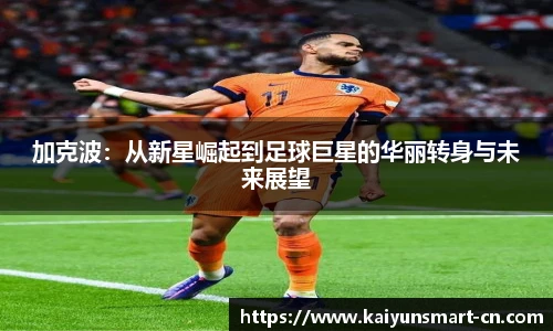 开云app